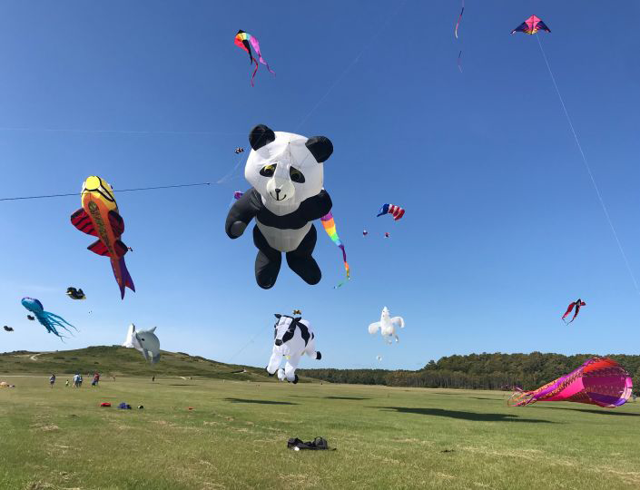 46th Annual Wright Kite Festival Event